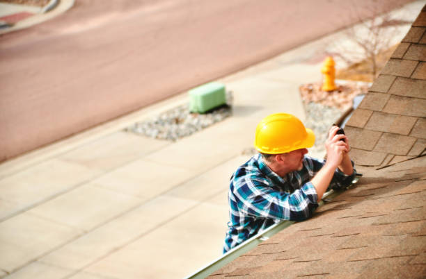Best Roof Gutter Cleaning  in Mission Nyon, CA